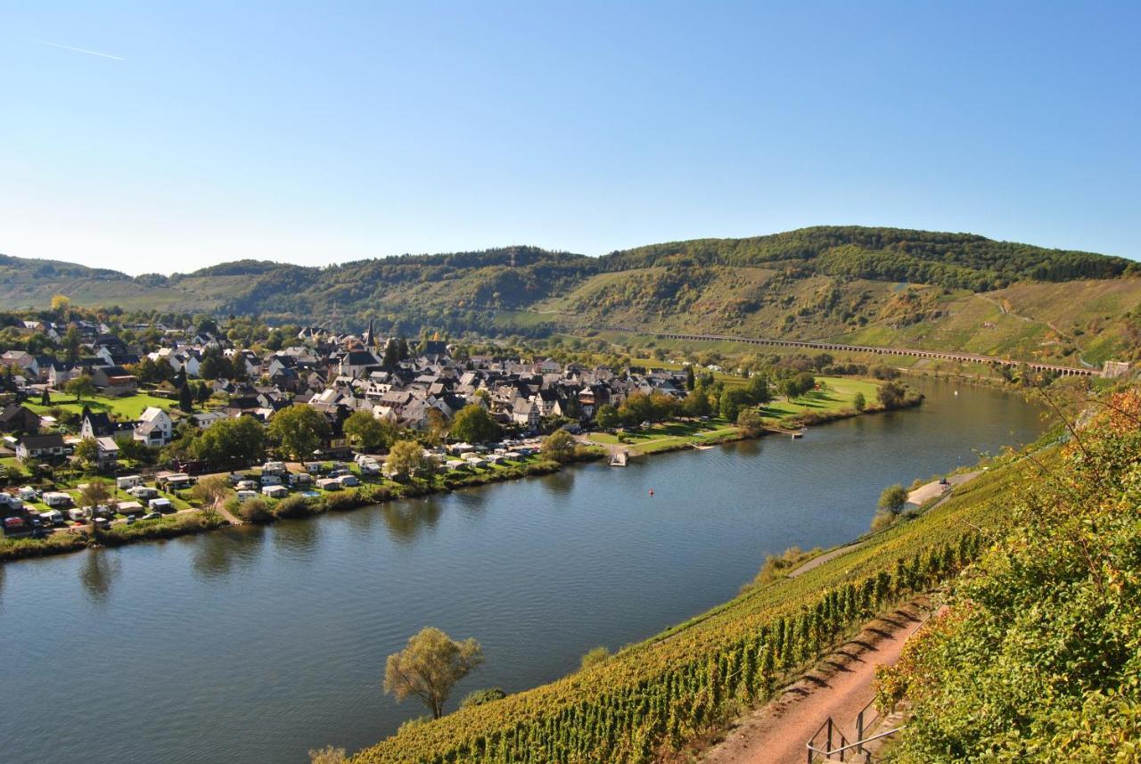 Weingut Markus Busch *
